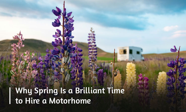 Why Spring Is a Brilliant Time to Hire a Motorhome
